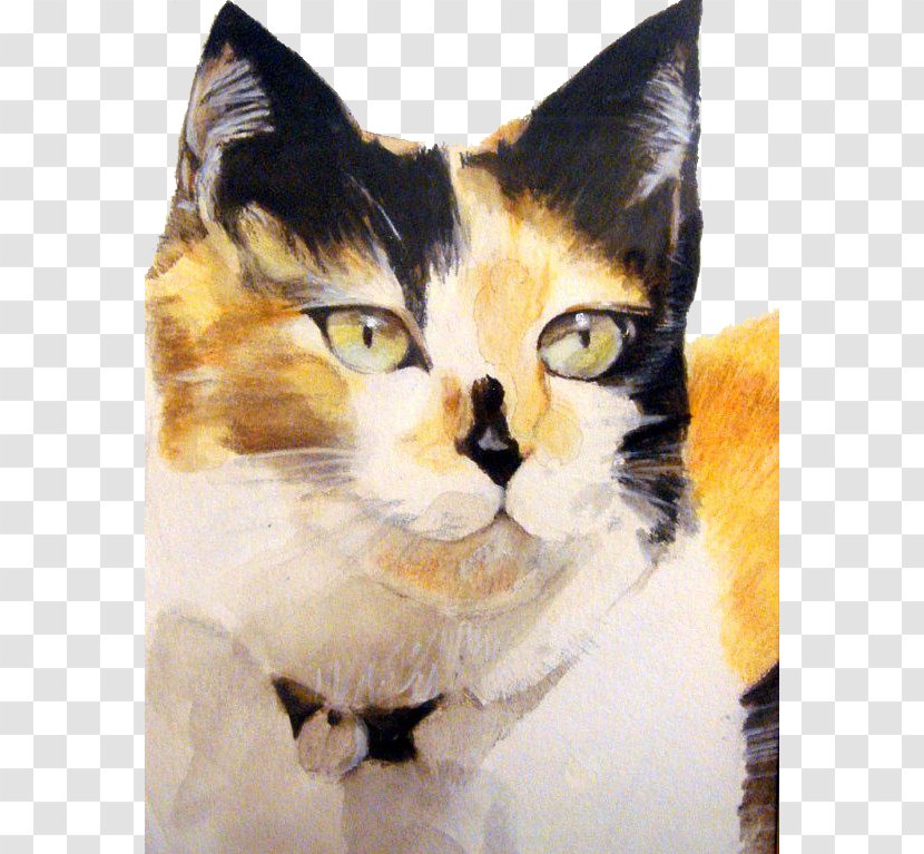 Black Cat Kitten - Veterinarian - Yellow And Pattern Transparent PNG