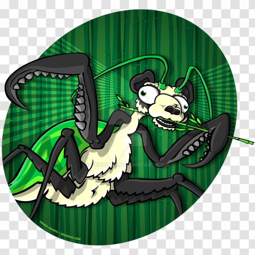 Giant Panda Bear Animal Mantis Insect - Wolf Transparent PNG