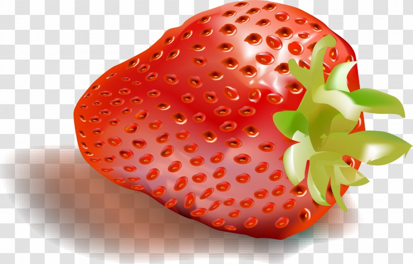 Strawberry Aedmaasikas - Strawberries - Decorative Pattern Vector Material Free Buckle Transparent PNG