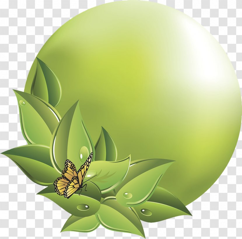 Icon - Computer Graphics - Green Butterfly Ring Transparent PNG