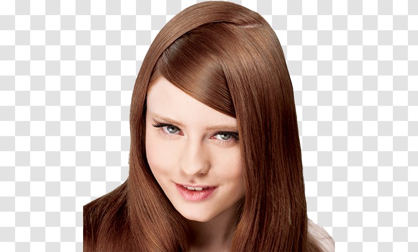 Brown Hair Human Color Chocolate Coloring - Hairstyle Transparent PNG
