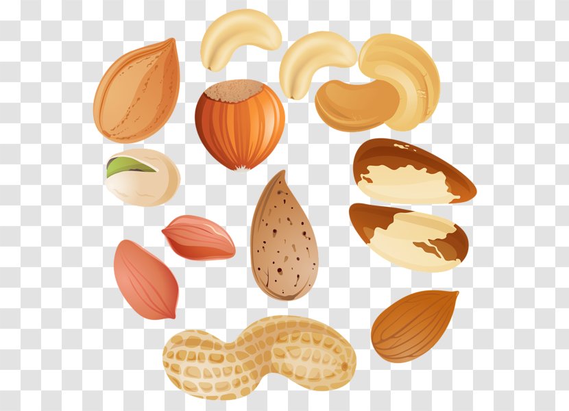 Mixed Nuts Tree Nut Allergy Peanut Clip Art - Walnut - Pistachios Transparent PNG