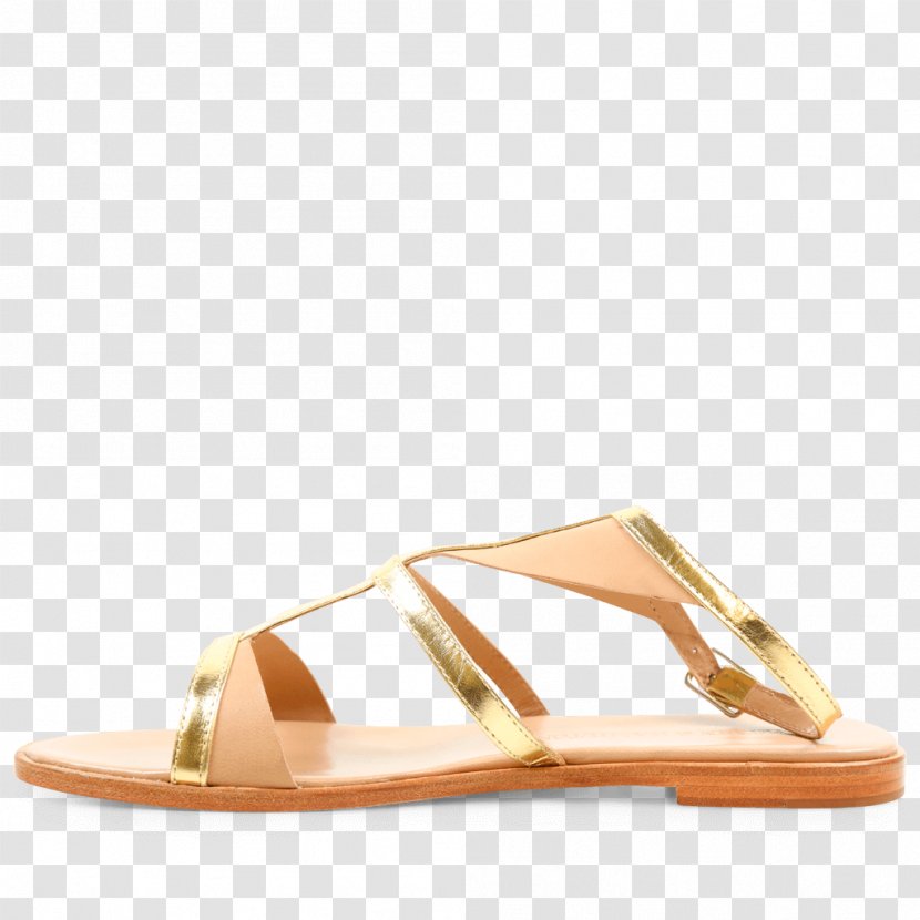 Sandal Footwear Shoe Slide Beige - Color Transparent PNG