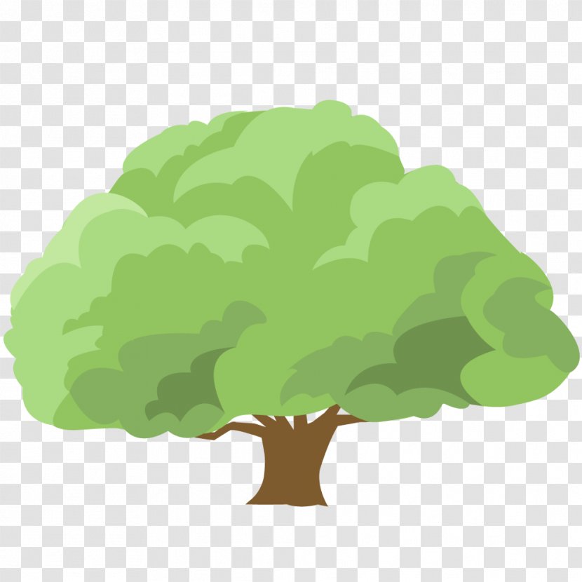 Tree Cartoon Woody Plant Leaf Drawing - Grass Transparent PNG
