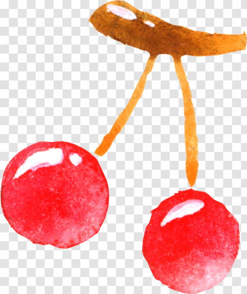 Cherry Fruit Auglis - Hand-painted Transparent PNG