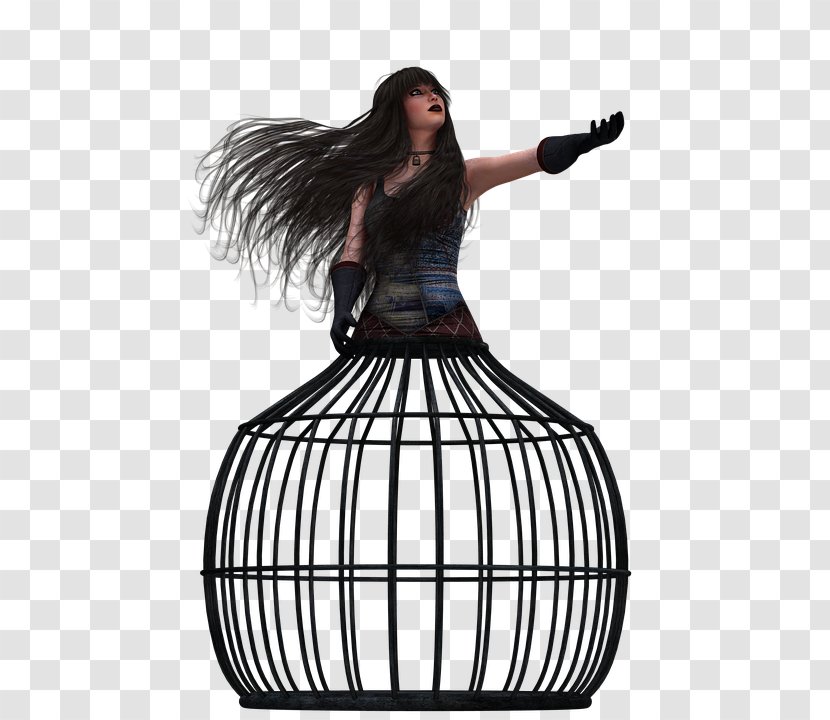 Photography Woman - Animation - Birdcage Transparent PNG