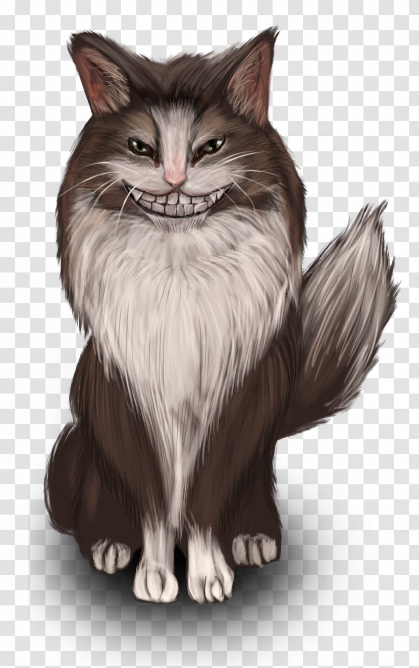 Whiskers Norwegian Forest Cat Kitten Domestic Short-haired Siberian - Mammal Transparent PNG