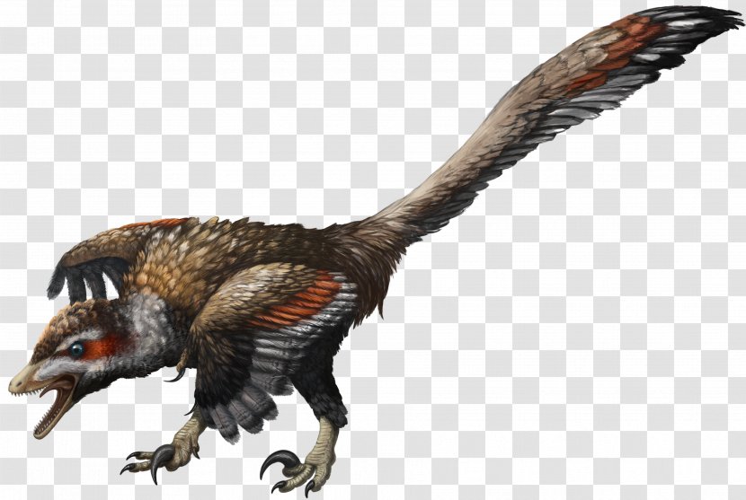 Velociraptor Flaming Cliffs Protoceratops Oviraptor Dinosaur - Jurassic Park - Raptor Transparent PNG