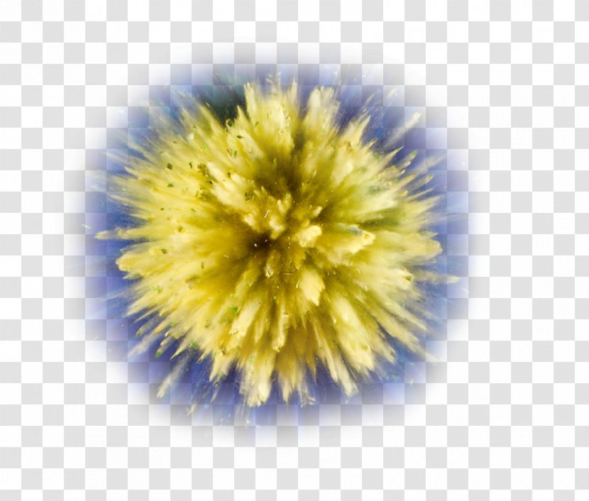 Explosion Powder Photography - Yellow Glow Transparent PNG