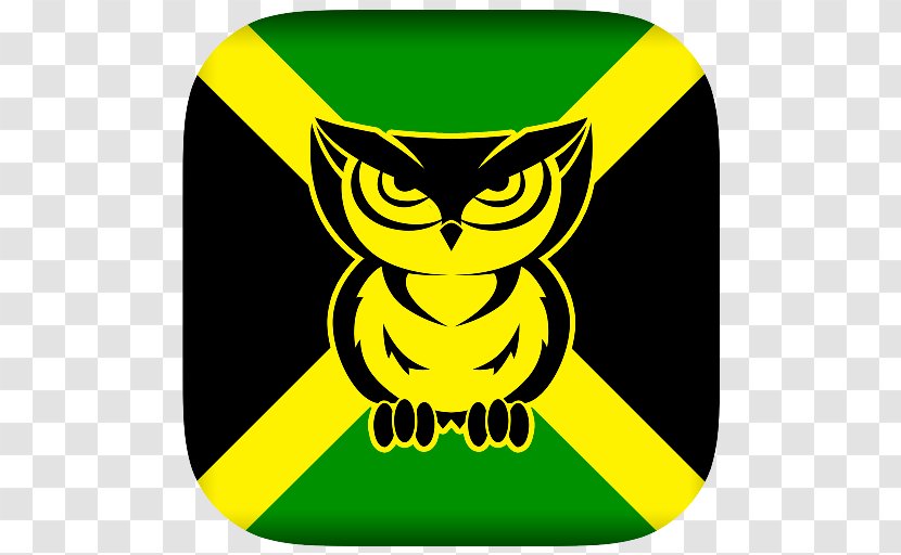 Owl Jamaica Clip Art Transparent PNG
