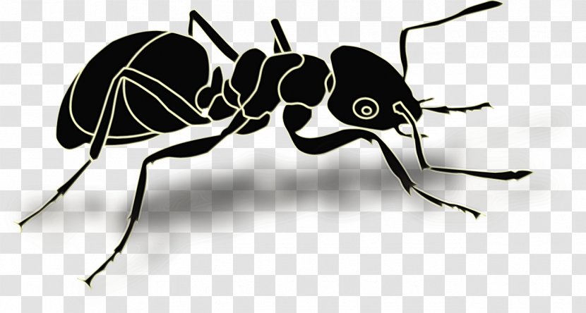 Ant Cartoon - Black Garden - Membranewinged Insect Pest Transparent PNG