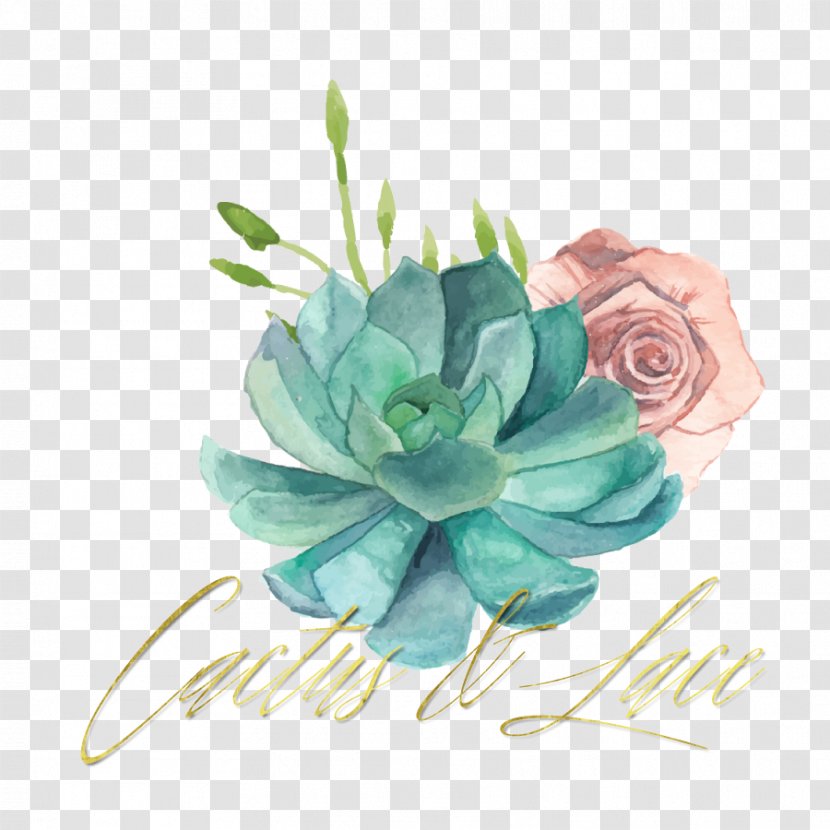 Succulent Plant Watercolor Painting - Drawing - Cactus Transparent PNG