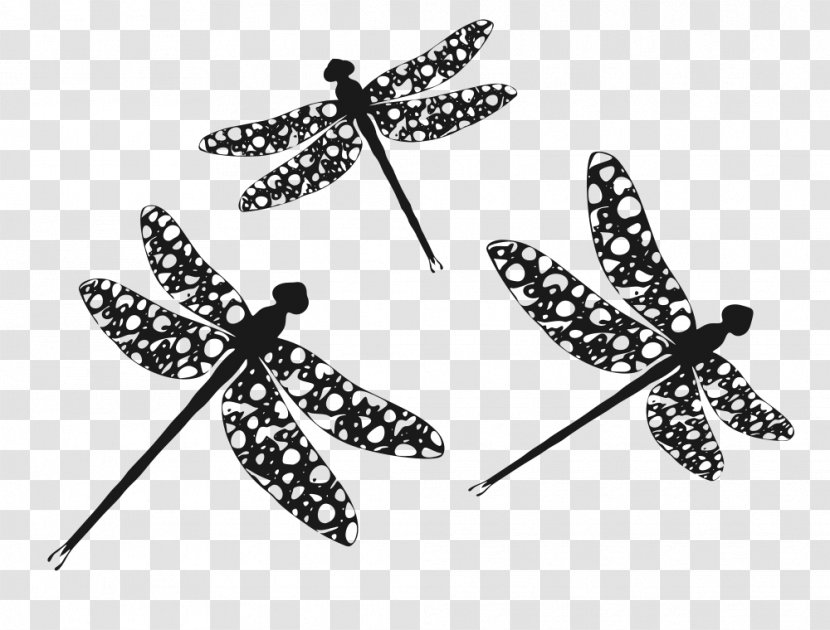 Silhouette Dragonfly Clip Art - Body Jewelry Transparent PNG