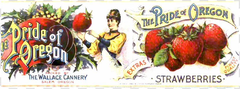 Oregon City Strawberry Food Fruit - Art - People Transparent PNG