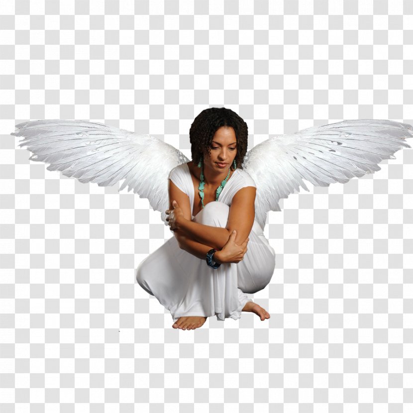 Angel Therapy: Healing Messages For Every Area Of Your Life Transparent PNG