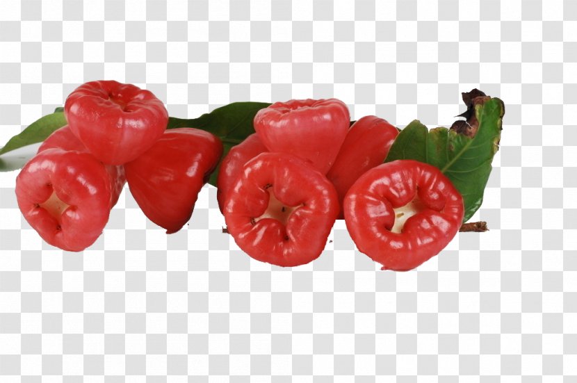 Java Apple Syzygium Jambos Watery Rose Nutrition Auglis - Potato And Tomato Genus - A Bunch Of Wax Picture Material Transparent PNG