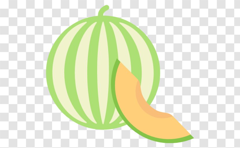 Melon Cantaloupe Fruit Honeydew - Plant Transparent PNG