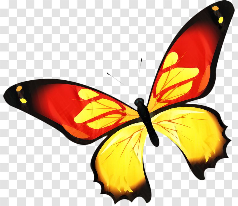 Tiger Cartoon - Brushfooted Butterfly - Wing Transparent PNG