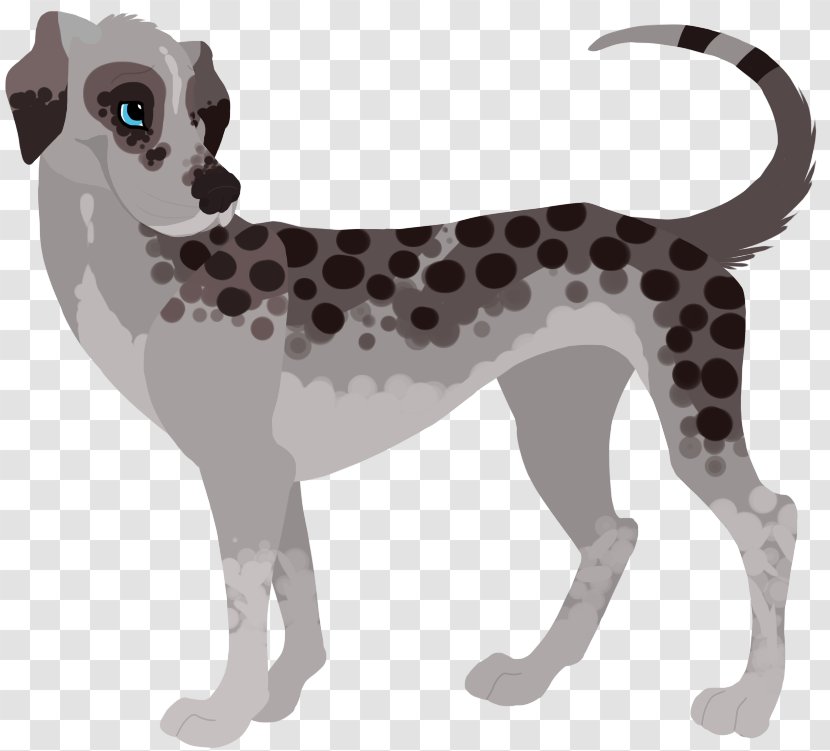 Dog Breed Italian Greyhound Dalmatian - LANI Transparent PNG