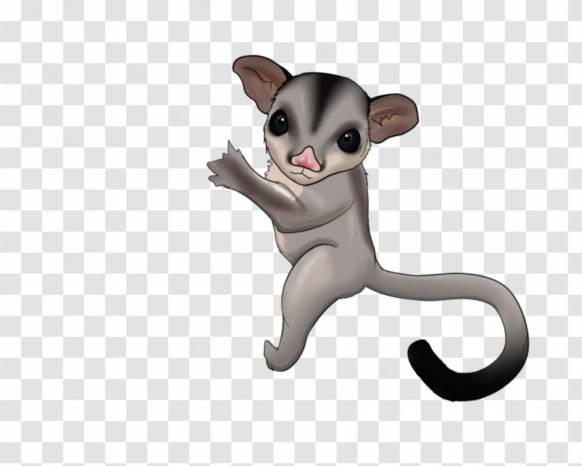 Sugar Glider Drawing Puppy Clip Art - Cat Like Mammal Transparent PNG