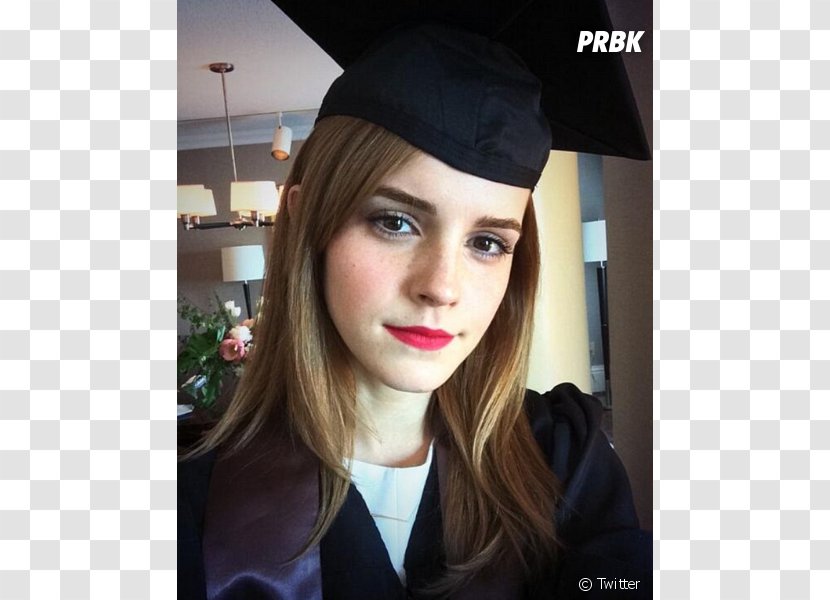 Emma Watson Hermione Granger Harry Potter And The Philosopher's Stone Actor Hair - Draco Malfoy Transparent PNG