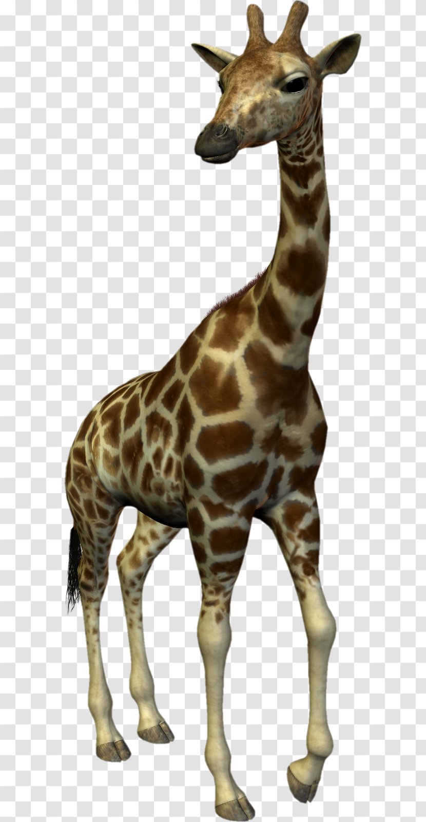 Northern Giraffe Dog Lion Horse Transparent PNG