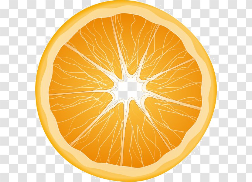 Clip Art Transparency Orange Juice - Meyer Lemon Transparent PNG