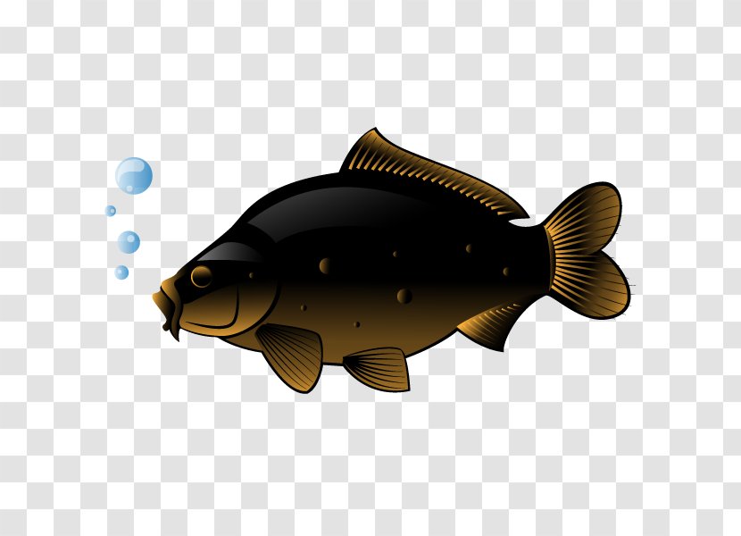Swordfish Freshwater Fish Clip Art - Free Content - Vector Transparent PNG