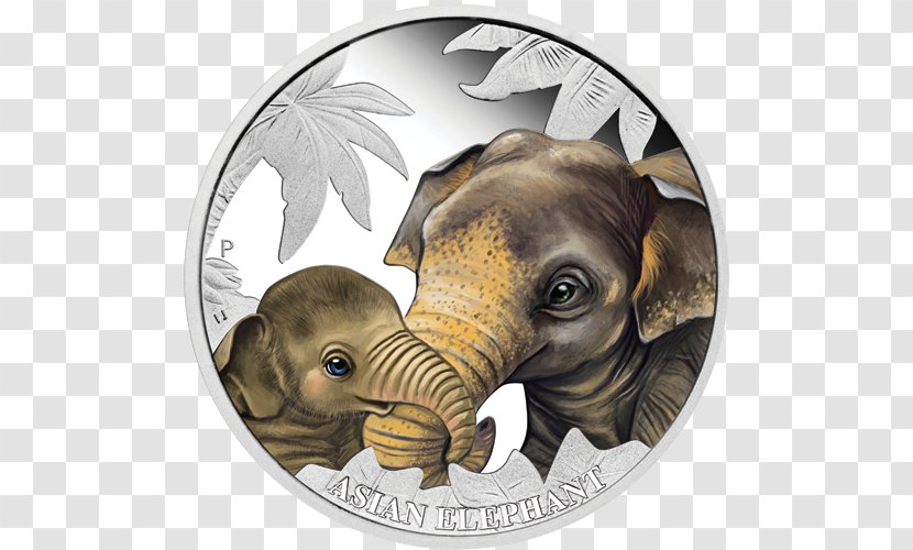 Commemorative Coin Perth Mint Tuvalu Indian Elephant - Gutachten Transparent PNG