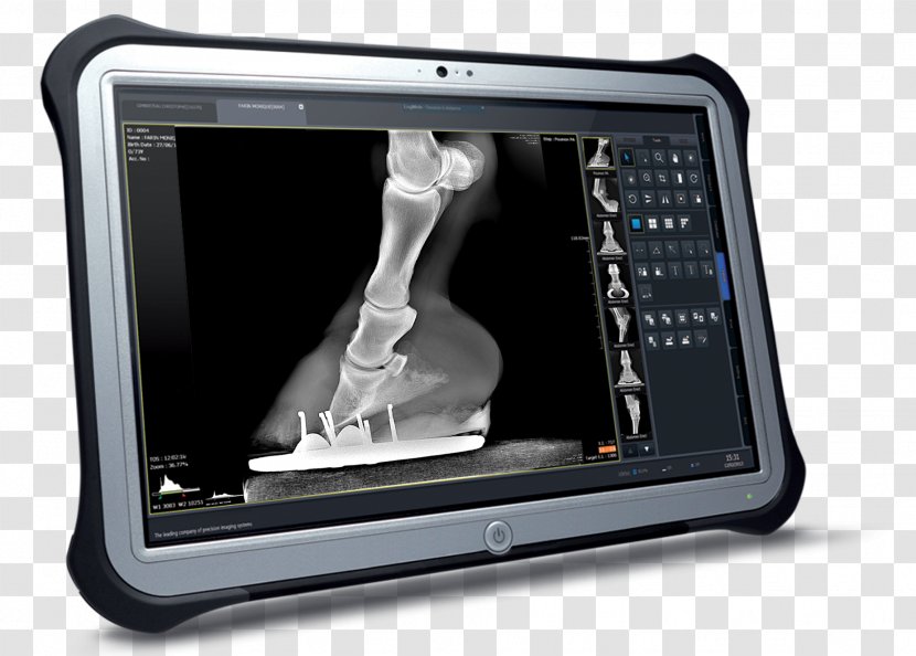 Radiology Veterinarian Tablet Computers Veterinary Medicine Medical Imaging - Gadget - Doctor With Ipad Transparent PNG