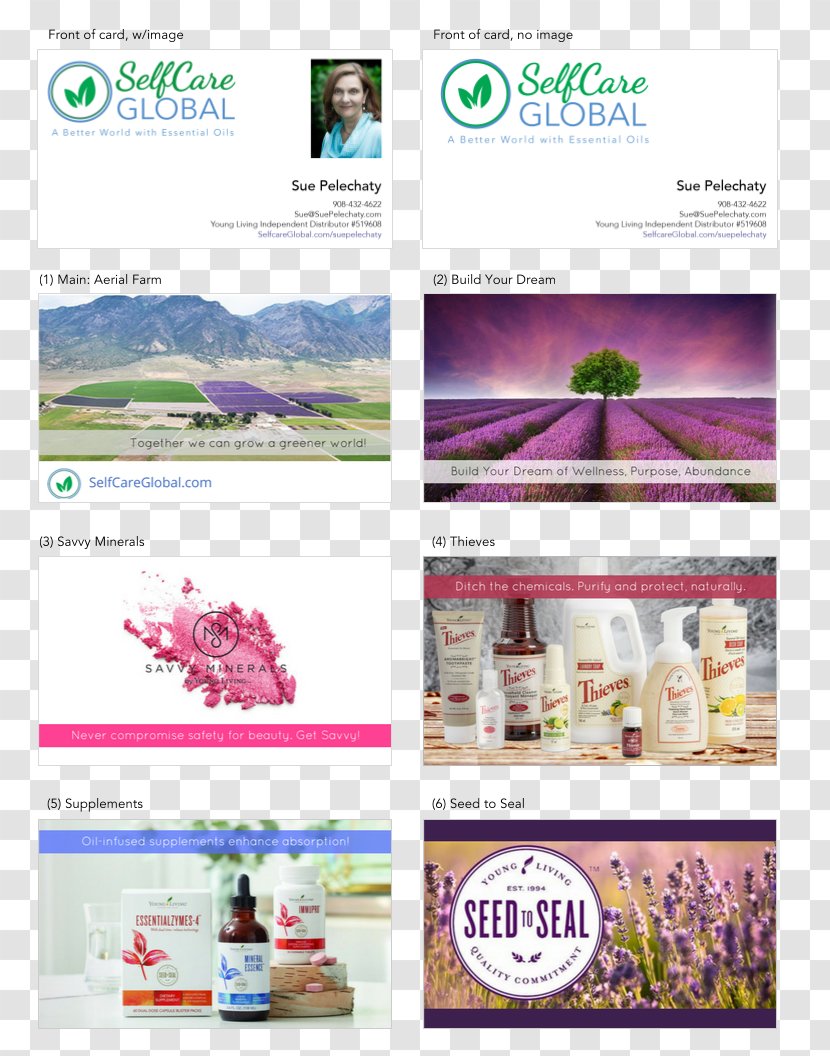 Graphic Design Brochure Web Page - Brand Transparent PNG