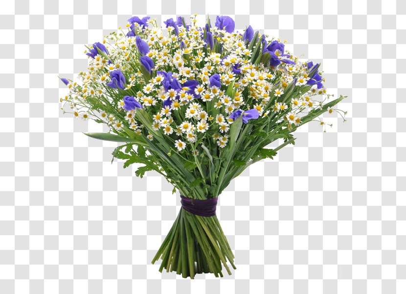 Flower Bouquet Gift Matricaria Garden Roses - Wildflower Transparent PNG