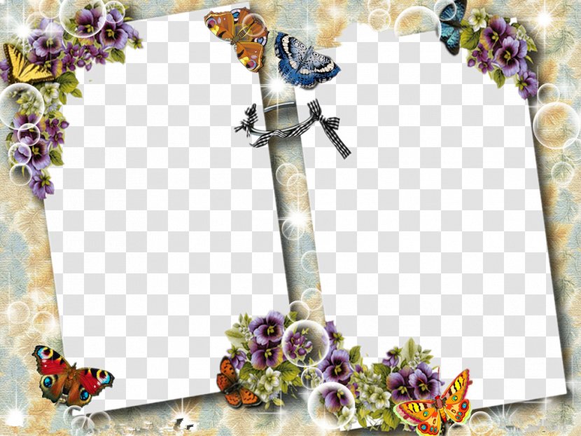 Butterfly Picture Frame Clip Art - Floristry - Border Transparent PNG