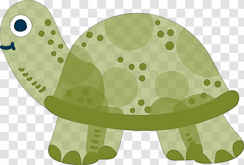 Turtle Transparent PNG
