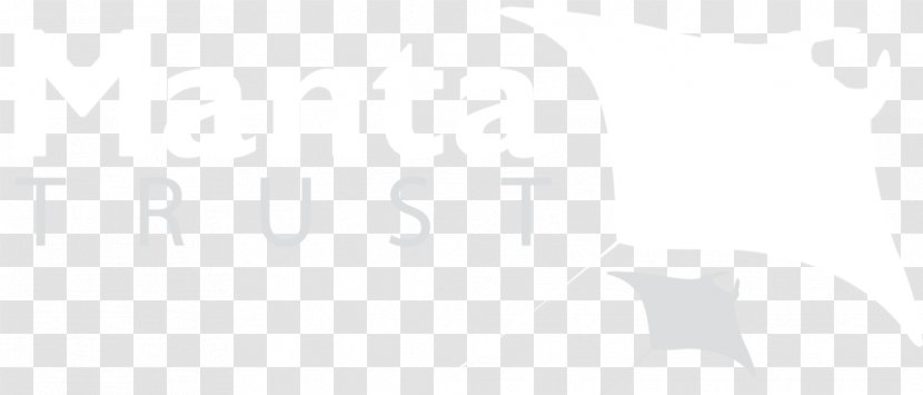 Logo Brand Font Desktop Wallpaper Product Design - Text Transparent PNG