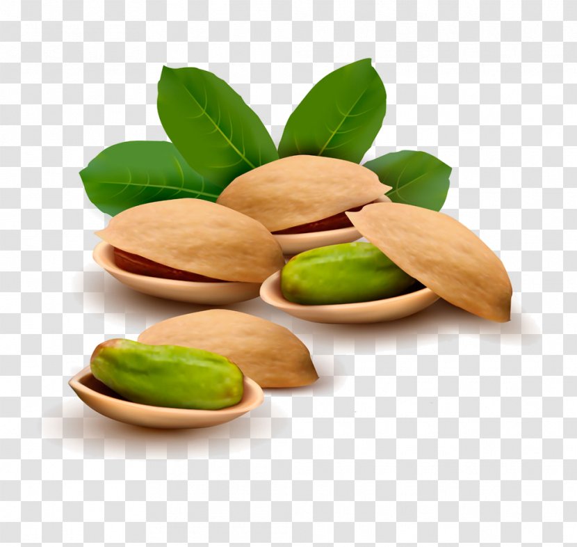 Pistachio Ice Cream Nut Illustration - Nuts Seeds - Leaves With Pistachios Transparent PNG