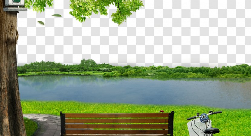 River Meadow Background Material - Ecosystem - Plantation Transparent PNG