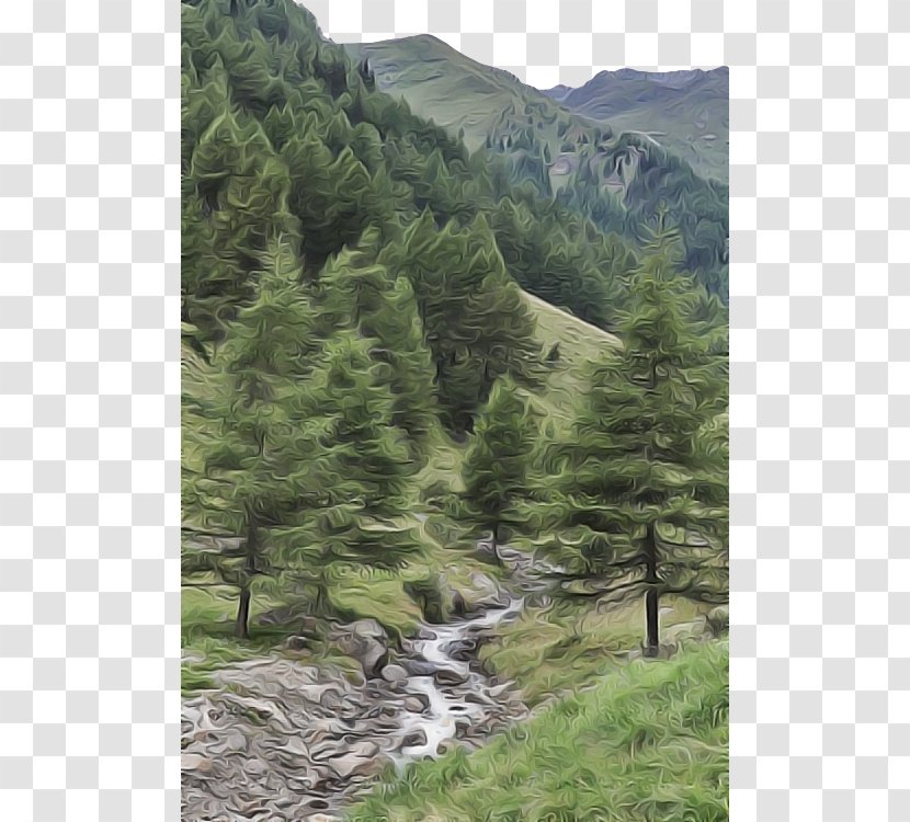 Highland Mountainous Landforms Nature Tree Natural Landscape - Mountain - Vegetation Reserve Transparent PNG