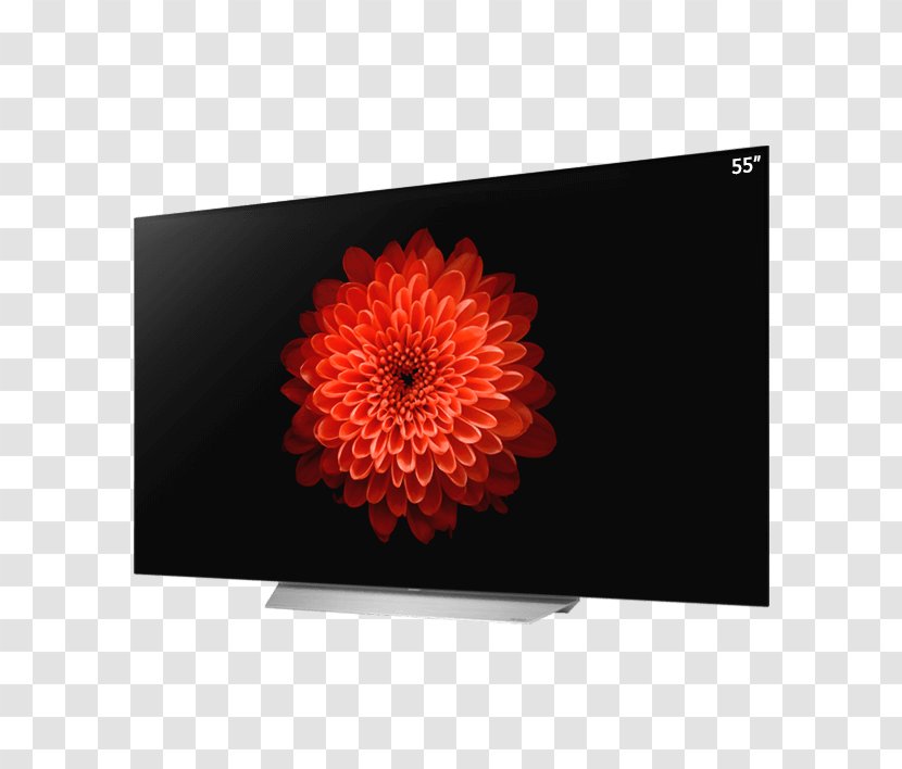 LG 4K Resolution OLED High-definition Television - Petal - Lg Transparent PNG