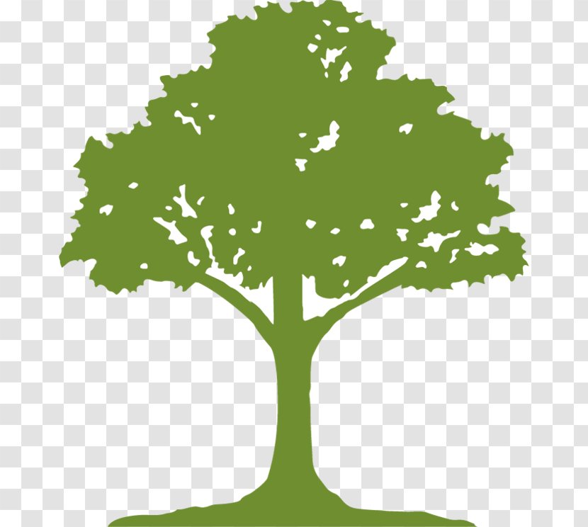 Tree Mikes Clearwater Harvesting Inc. Paper Earth Root Transparent PNG
