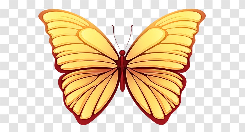 Moths And Butterflies Butterfly Insect Symmetry Pollinator - Yellow Wing Transparent PNG