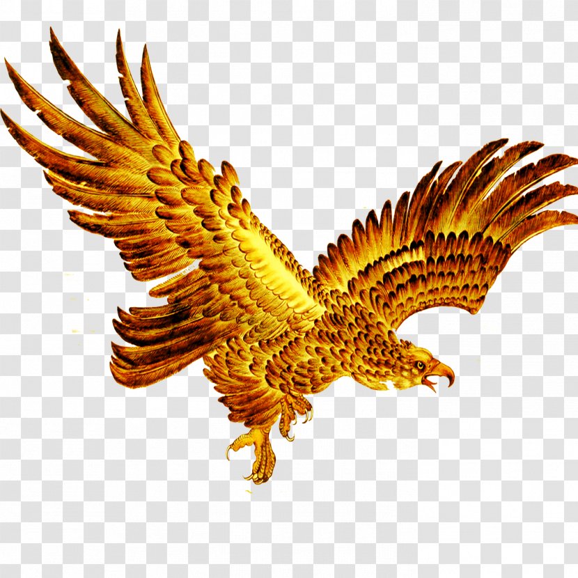 Bald Eagle Hawk Ink Wash Painting - Golden Transparent PNG