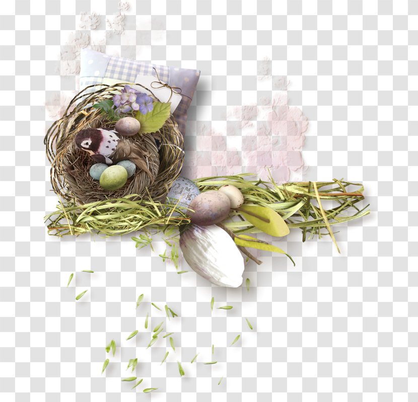 Easter Bunny Egg Bird Nest - Rabbit - утята Transparent PNG