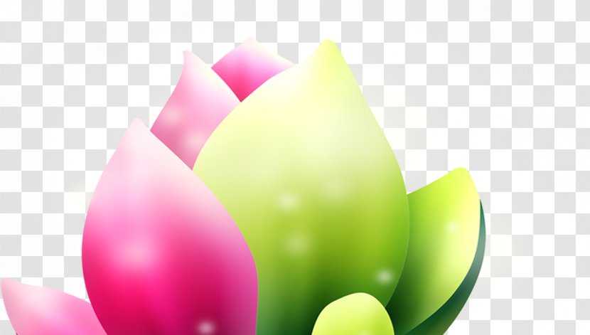 Download - Flower - Simple Computer-generated Flowers Transparent PNG