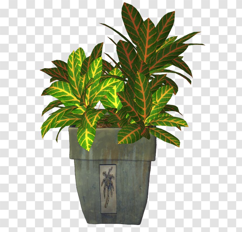 Flowerpot Transparency And Translucency Plant Photography Transparent PNG