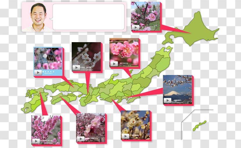 Plum Blossom Photography Japan Festival Photo-book - Map - Special Topic Transparent PNG