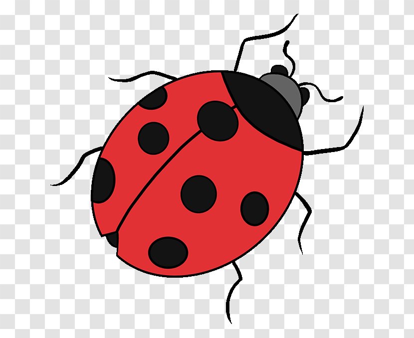 Drawing Ladybird Beetle Image Tutorial Clip Art - Howto - Cute Ladybug Drawings Transparent PNG