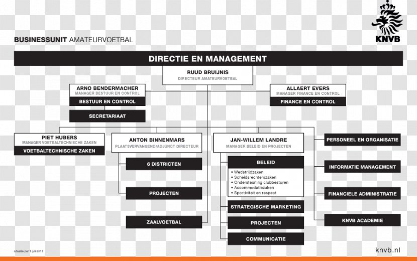 Organizational Chart Structure Royal Dutch Football Association Corporation - Material - Web Page Transparent PNG
