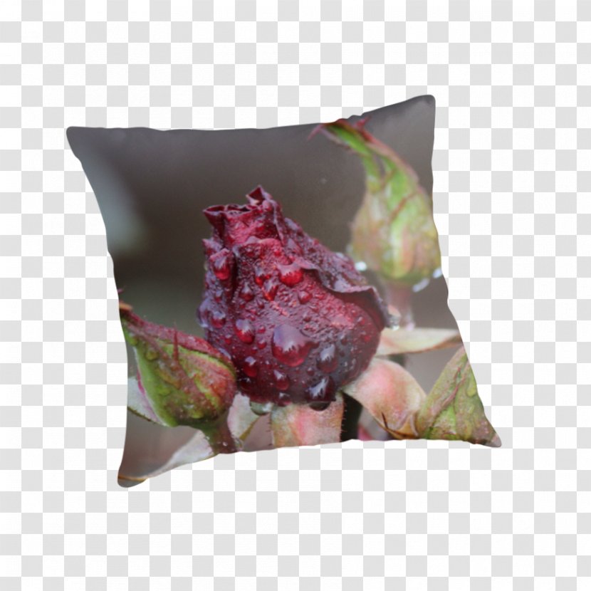 Throw Pillows Cushion Flower - Pillow Transparent PNG