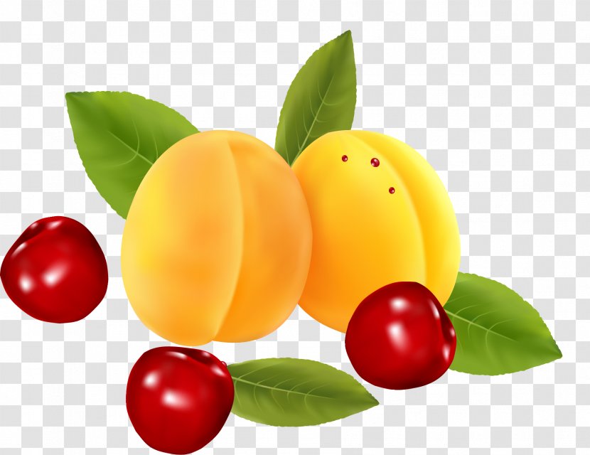 Peach Cherry Icon - Natural Foods - Vector Fruit Peaches Transparent PNG